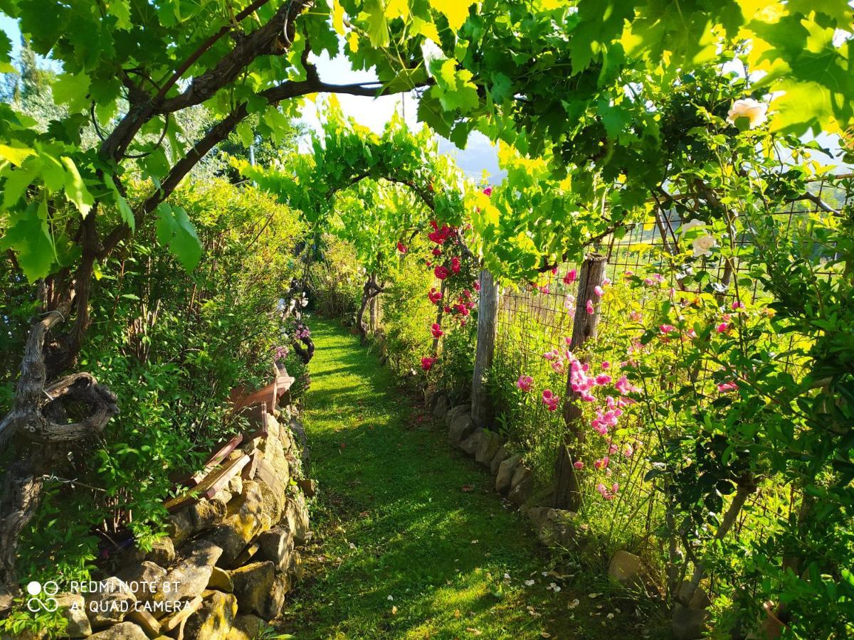 Podere Piandarca Terranuova Bracciolini Buitenkant foto