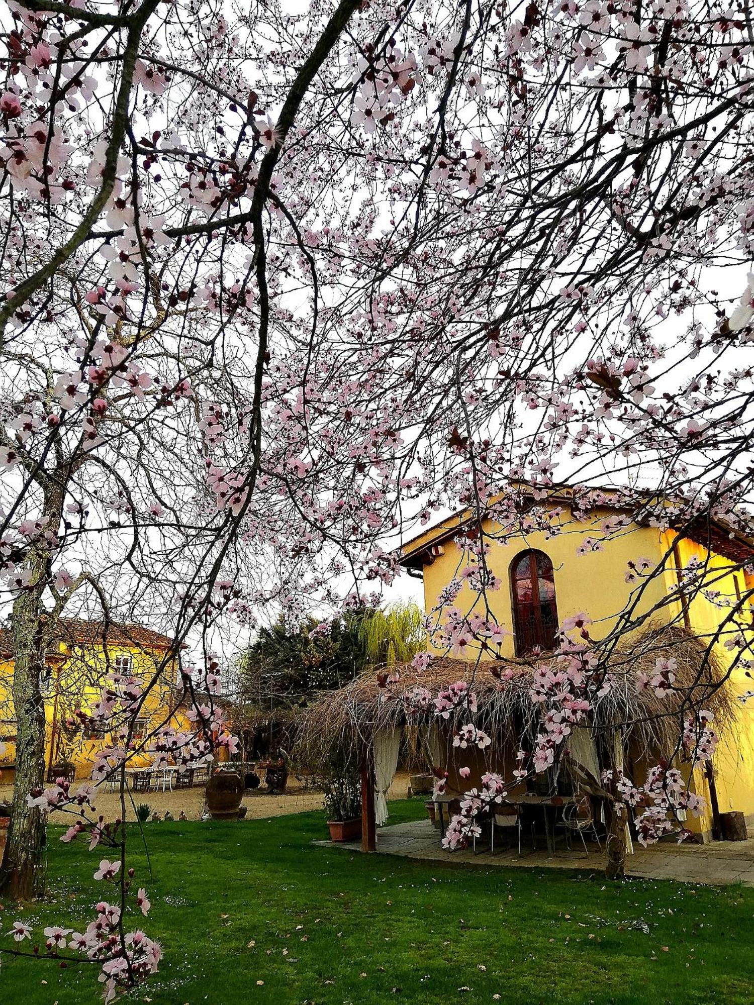 Podere Piandarca Terranuova Bracciolini Buitenkant foto