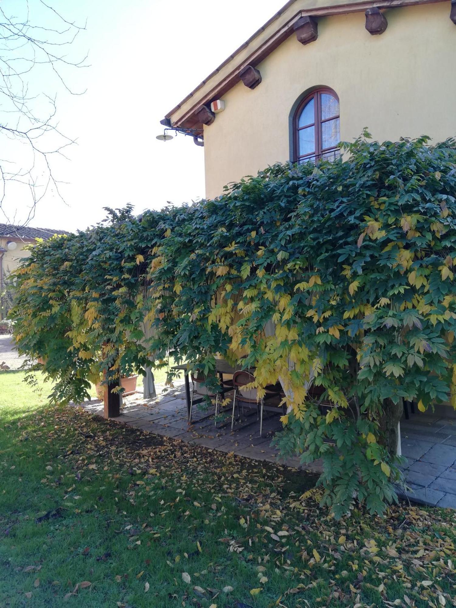 Podere Piandarca Terranuova Bracciolini Buitenkant foto